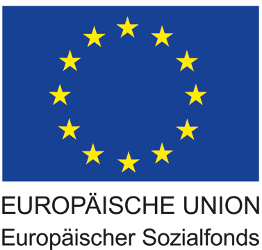 EU Logo